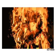 Диджфайр. 40х50см, живопись по номерам, сделай сам, настенное искусство, декор гостиной, пейзаж, фигура, животное, цветок, мультфильм