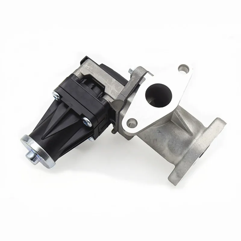 H54d20EGR (5)