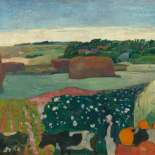 Краска по комплекты номеров для взрослых DIY 40311