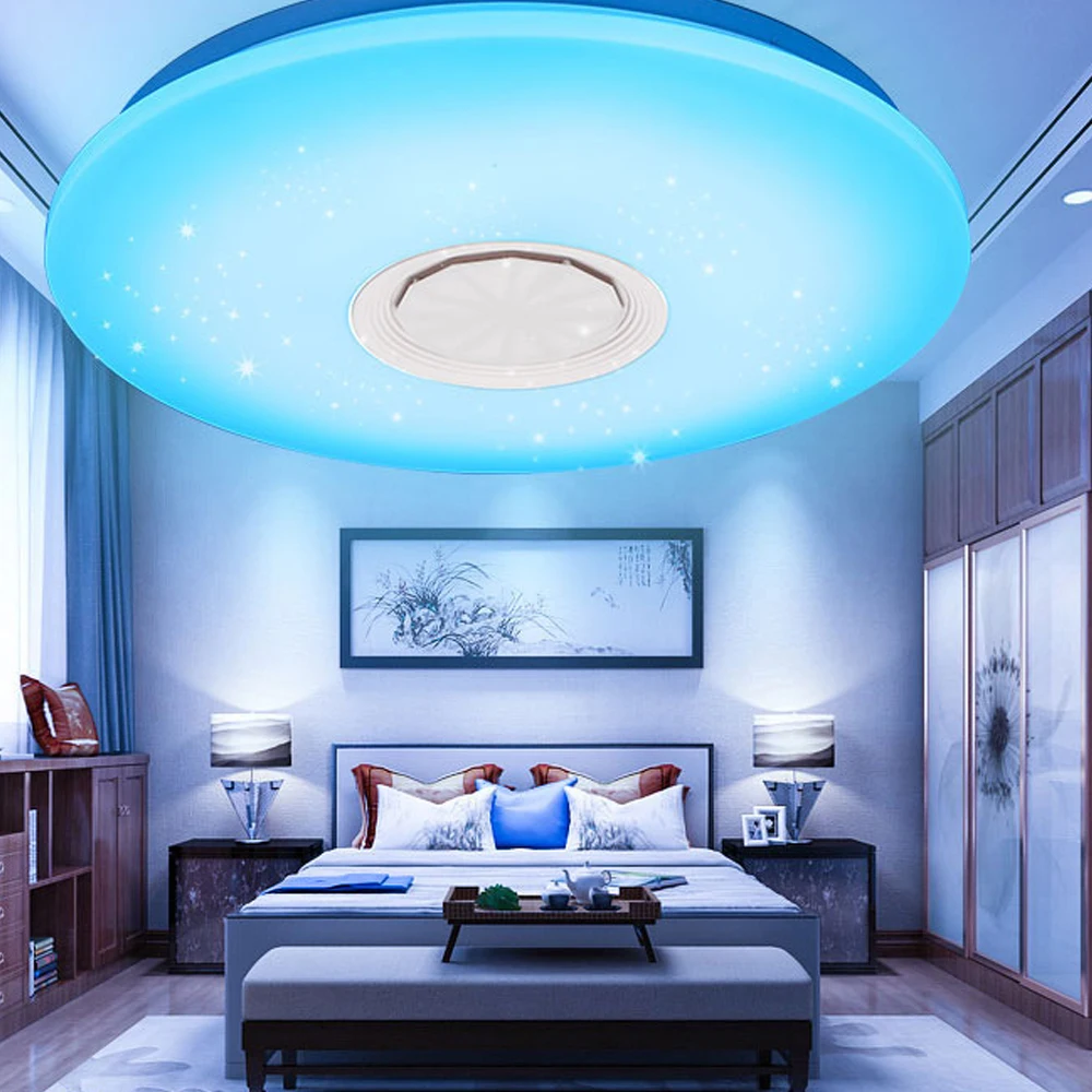 

30W Bedroom Ceiling Light Intelligent APP Dimmable LED Bluetooth Music Circular Modern Simple Ceiling Light Living Room