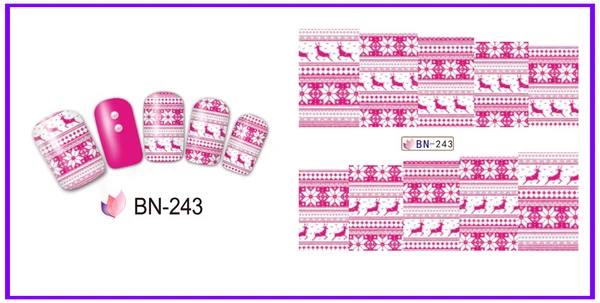 BN-243