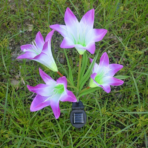 WXX70331214_20170331030344882