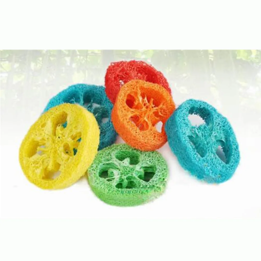 50 шт. Hateli натуральный завод Loofah Molars жевательные игрушки для домашних животных 2 упаковки молярные игрушки для домашних животных