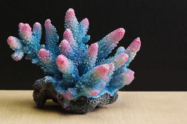 xixi (3)