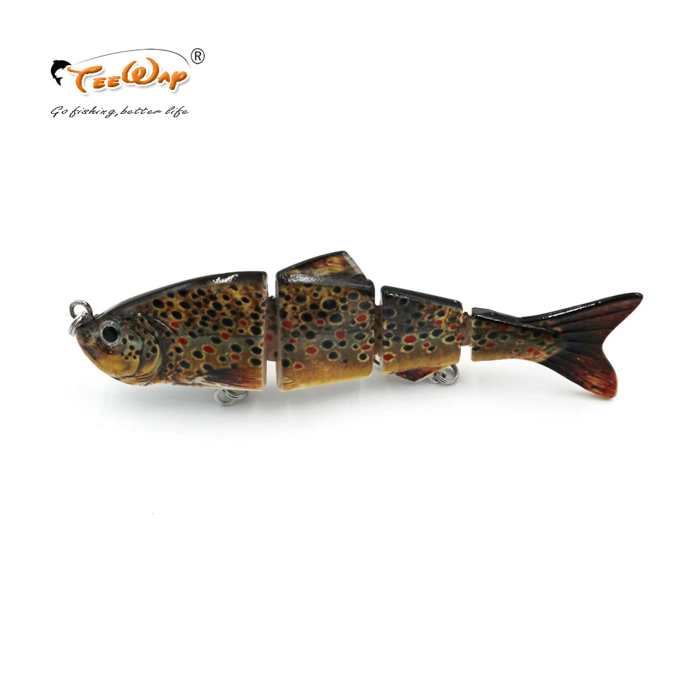 online carp fishing shop