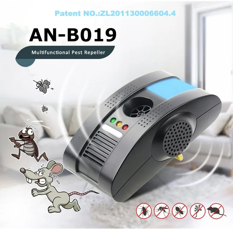 AN-B019 01