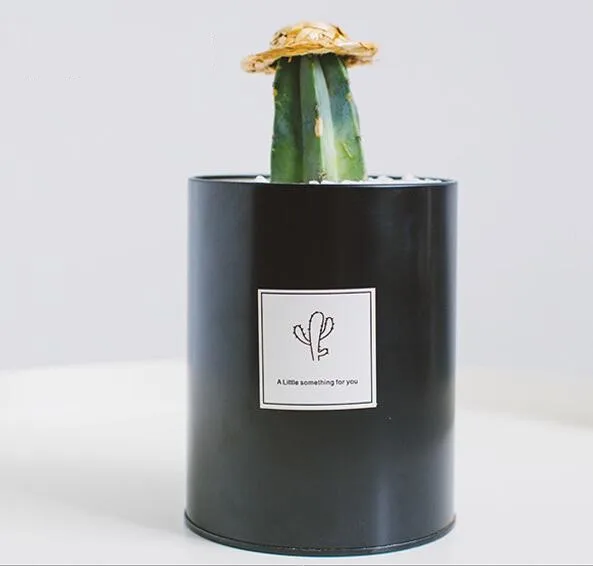 TECHOME металлический простой горшок для растений суккуленты кактус Жестяная Банка Цветочный Горшок стол офисное украшение дома цветочный горшок подарок для друга - Цвет: 5