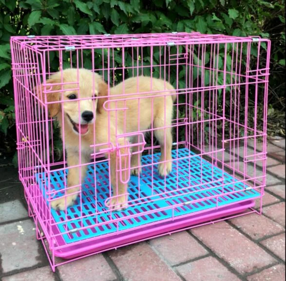 Collapsible Wire Pet Cage In Bold Good Spray Paint Quality Insurance Deduction Pet Dog Cage Door Design Safe House Pet Wire Cage Cage Designcage Dog Aliexpress Collapsible Wire Pet Cage In Bold Good Spray Paint Quality Insurance Deduction Pet Dog Cage Door Design Safe House Pet Wire Cage Cage Designcage Dog Aliexpress