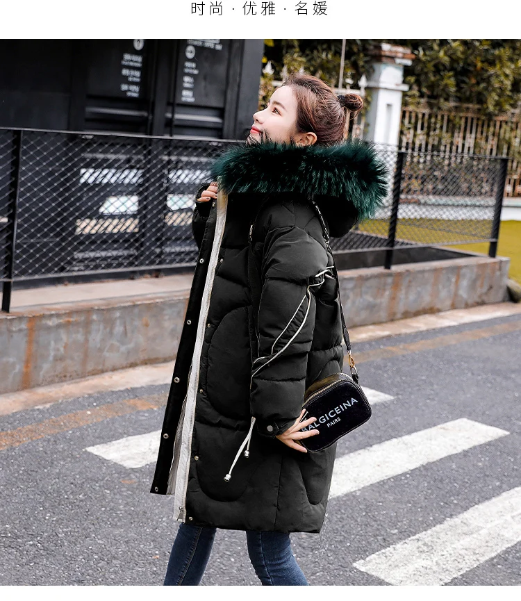 O1CN01Td67HB1sQaDXjt6sM-415761