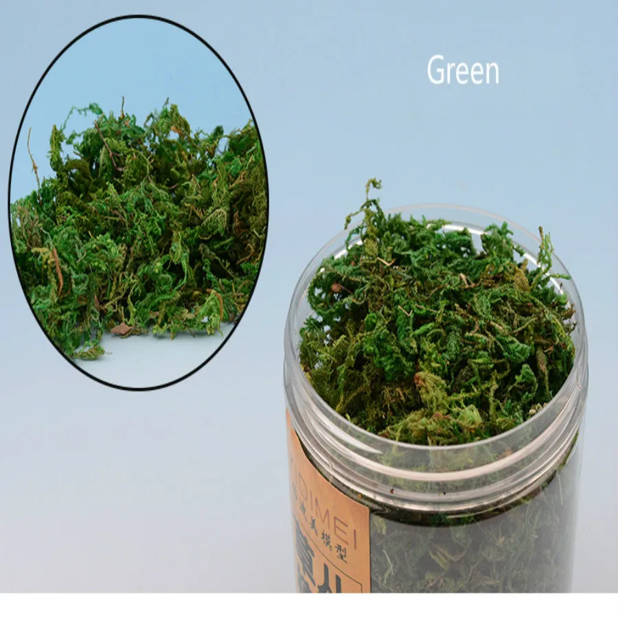 new grass model (17)