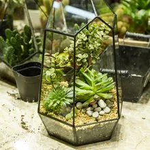 25.3cm Tabletop DIY Irregular Glass Geometric Terrarium Flower Pot Air Plant Succulent Planter Flowerpot Wedding Decoration Vase