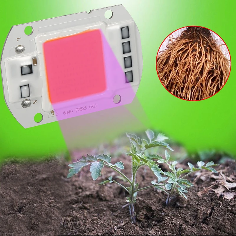 COB LED Chip Phyto лампа с полным спектром 110 В 220 20 Вт 30 50 светодиодные диоды для