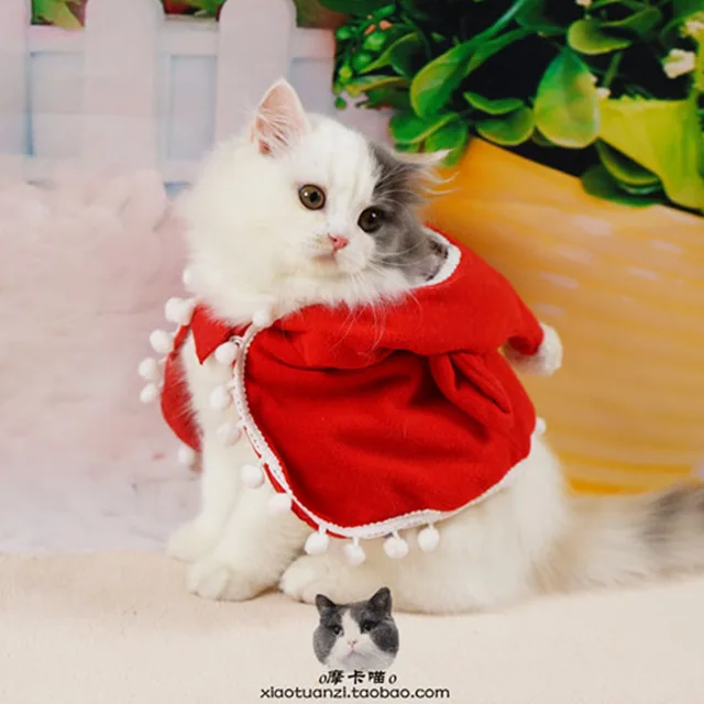 Aliexpress.com : Buy Cute Hallowmas dog cat pet costume