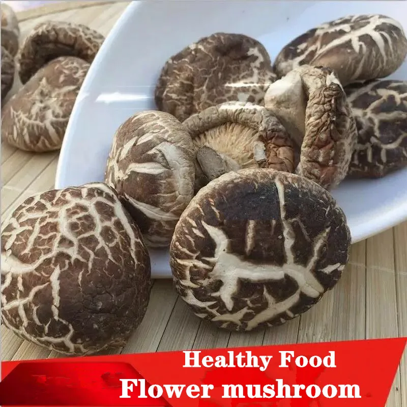 Дикий органический, высушенный грибы, сушеные грибы для предотвращения заболеваний, сушеные грибы, натуральные продукты здоровья, замедляющий старение