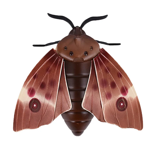 rc fly  (4)
