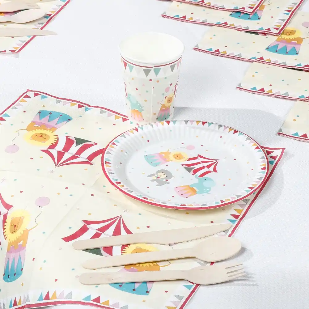 Riscawin The Circus Theme Paper Plates Set Birthday Party