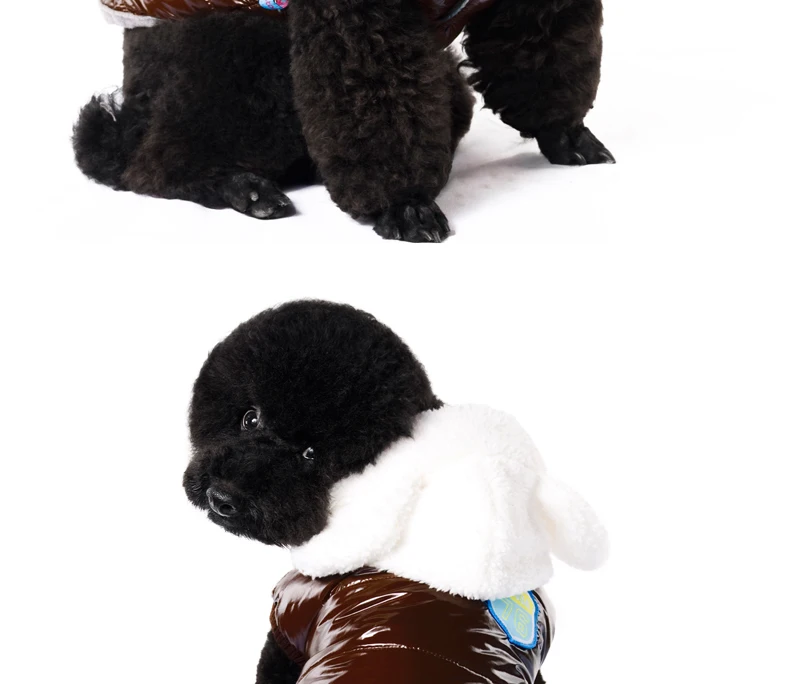 16 dogs clothes 