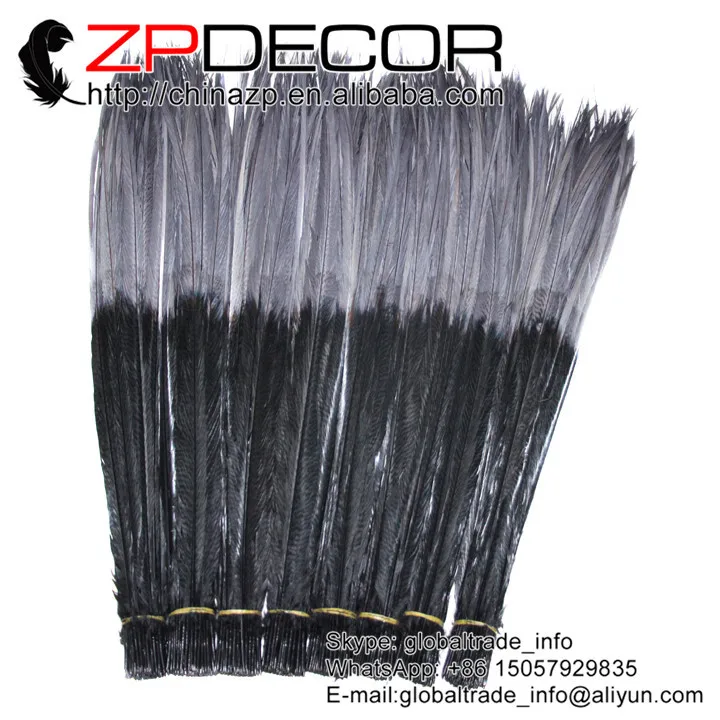 65-70cm Dyed grey and black golden pheasant tail feather (3)