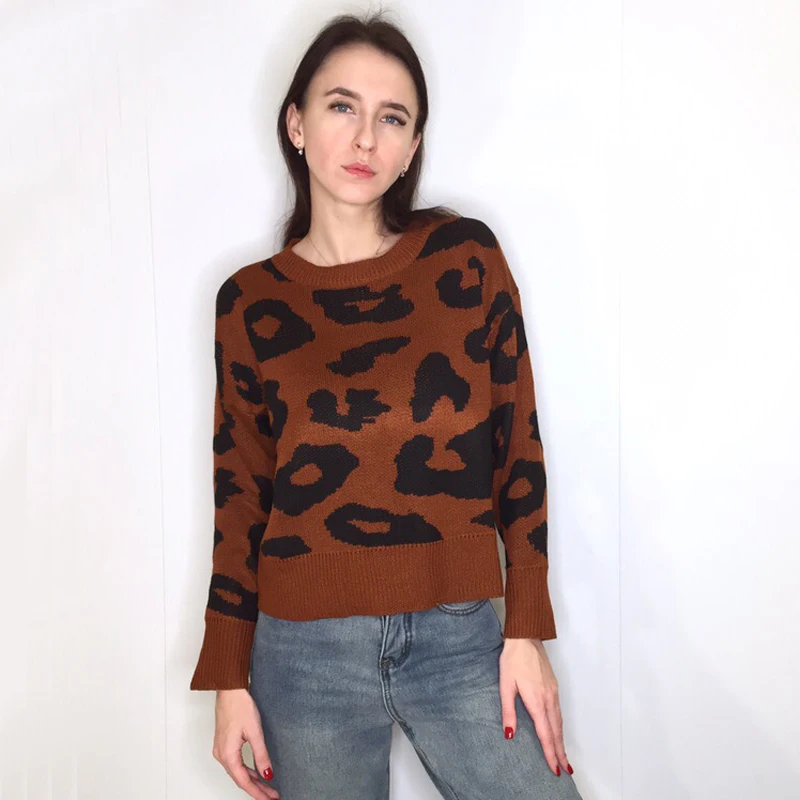 Streetwear Leopard Print Sweater Women 2018 Autumn Winter Fashion Long Sleeve Befree Knitted Sweaters and Pullovers For Ladies