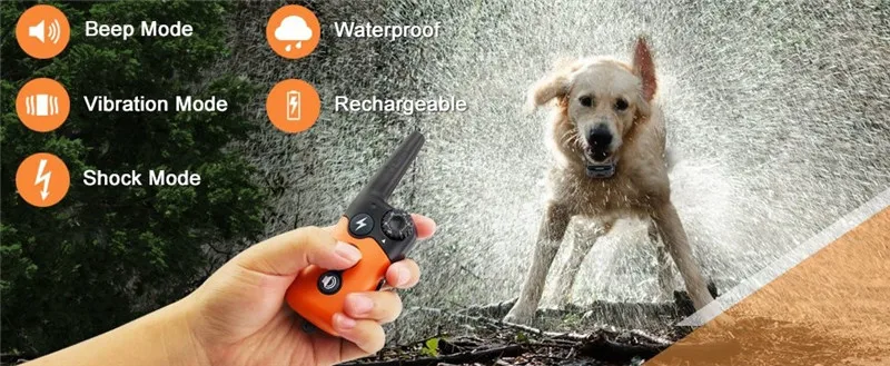 Anti Barking Training (2)