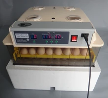 Digital Automatic 96 Egg Control Temperature Egg Incubator for Chicken Duck Quail Goose Egg