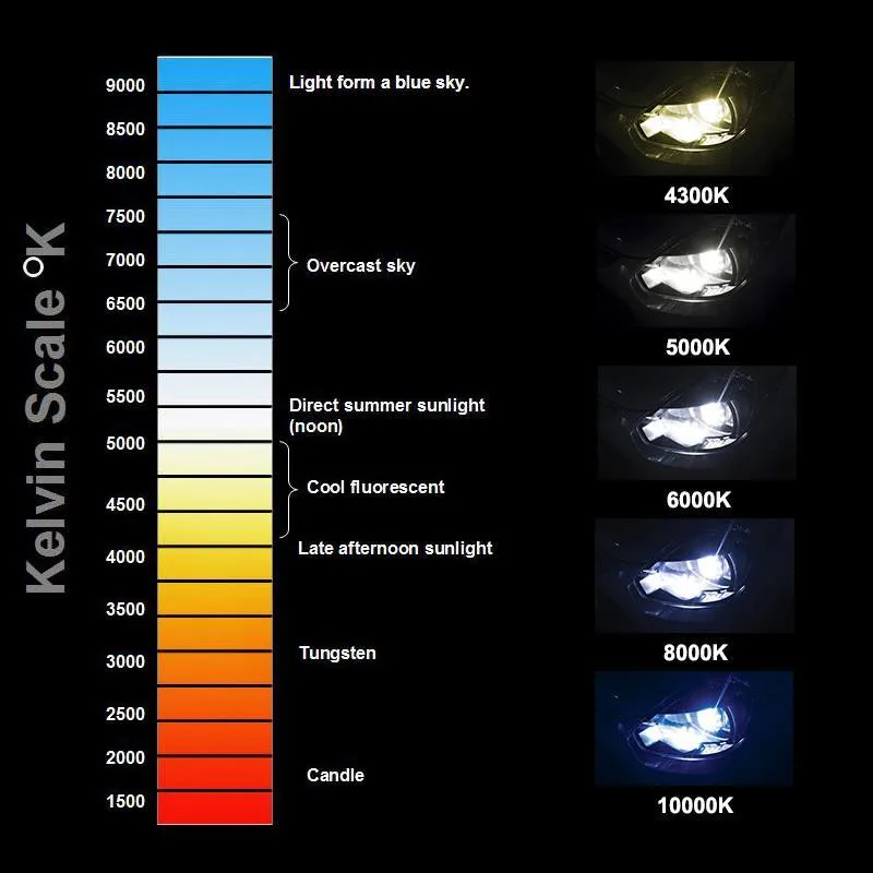 Available Kevin Scale-1