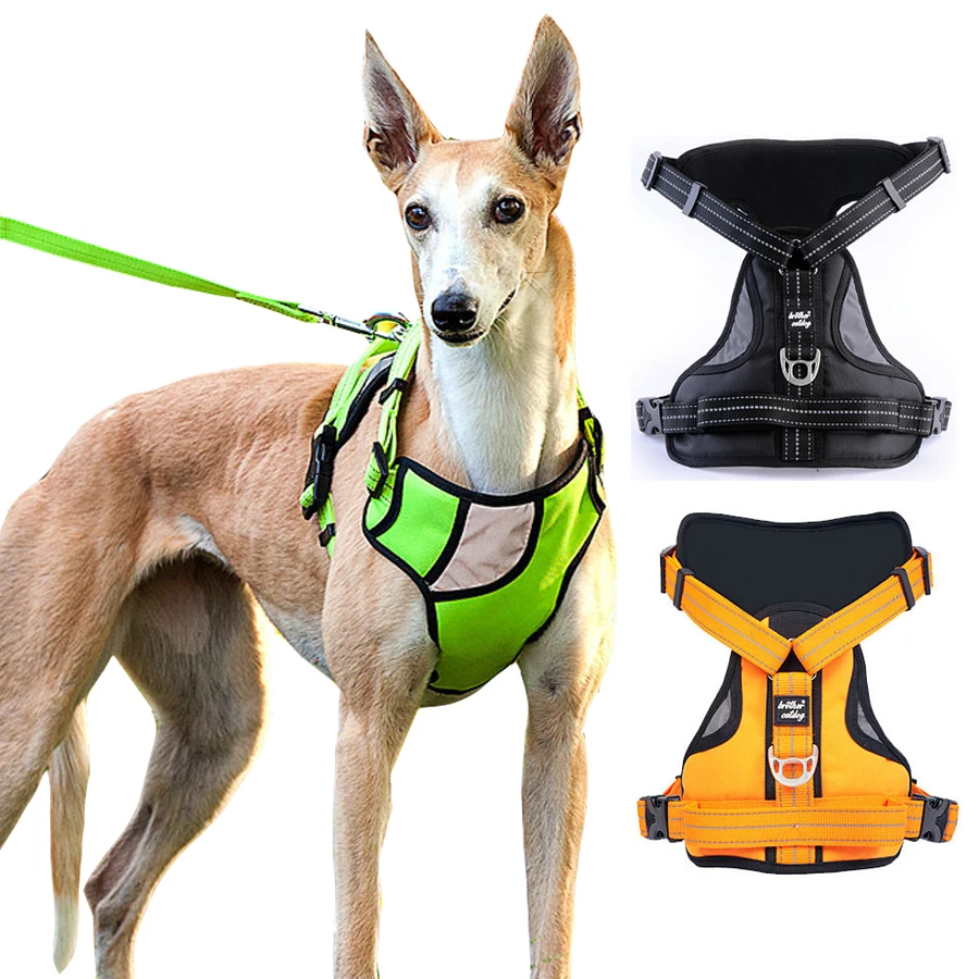 Dog Harness Latest style Reflective chest strap Nylon Traction rope