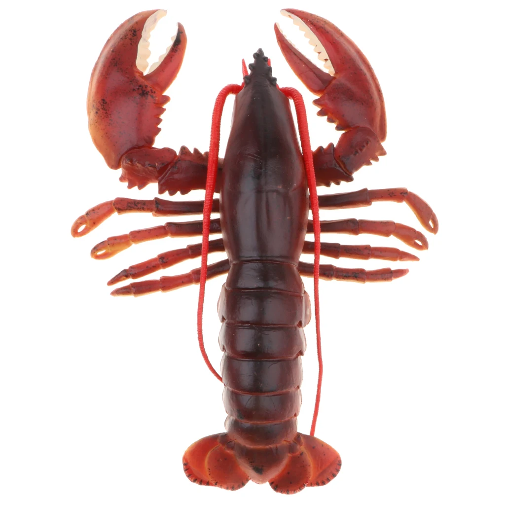 9 Inch Realistic Marine Animal Model Figurines, Plastic Lobster Action Figure Toy for Kids, Science Educational Toy, Collection