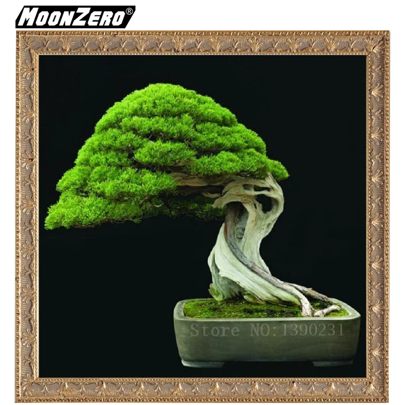 

2018 New Fashion 5D DIY Diamond Handmade Embroidered Bonsai Evergreen Gift Set Square or Round Mosaic Home Decoration WYZ18755