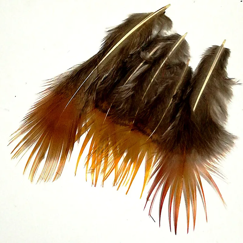 IMG_20181205_143520_