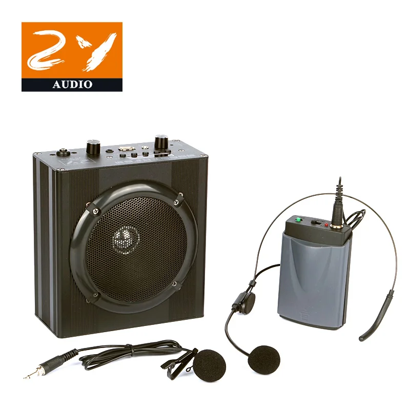 Free Shipping Wireless Lavalier Headset Microphone Guitar Voice