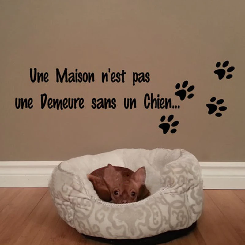Lettrage Une Maison N Est Pas Une Demeure Sans Un Chat Lettering Wall Stickers Dog Cat Home Decoration Fr02 Wallpapers Aliexpress