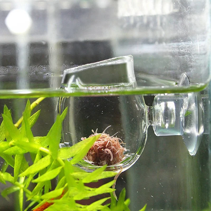 

Plant Cup Aquariums Glass Feeding Food Cup with Seam Brine Shrimp Live Red Worm Fish Clear Dish Tray for Aquariums