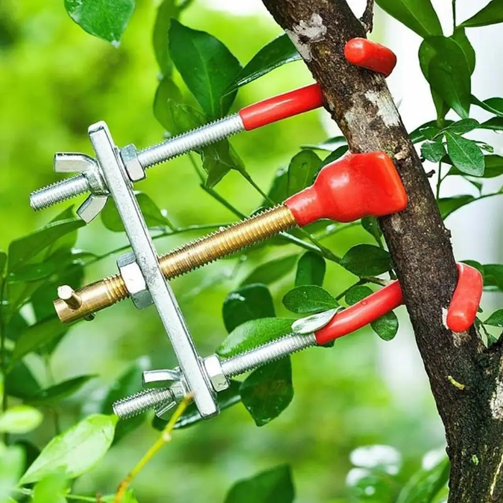 Легированные стальные садовые ножницы для сада уход садоводческий бонсай инструмент ветка ветки багажник Бендер Настройщик изогнутое