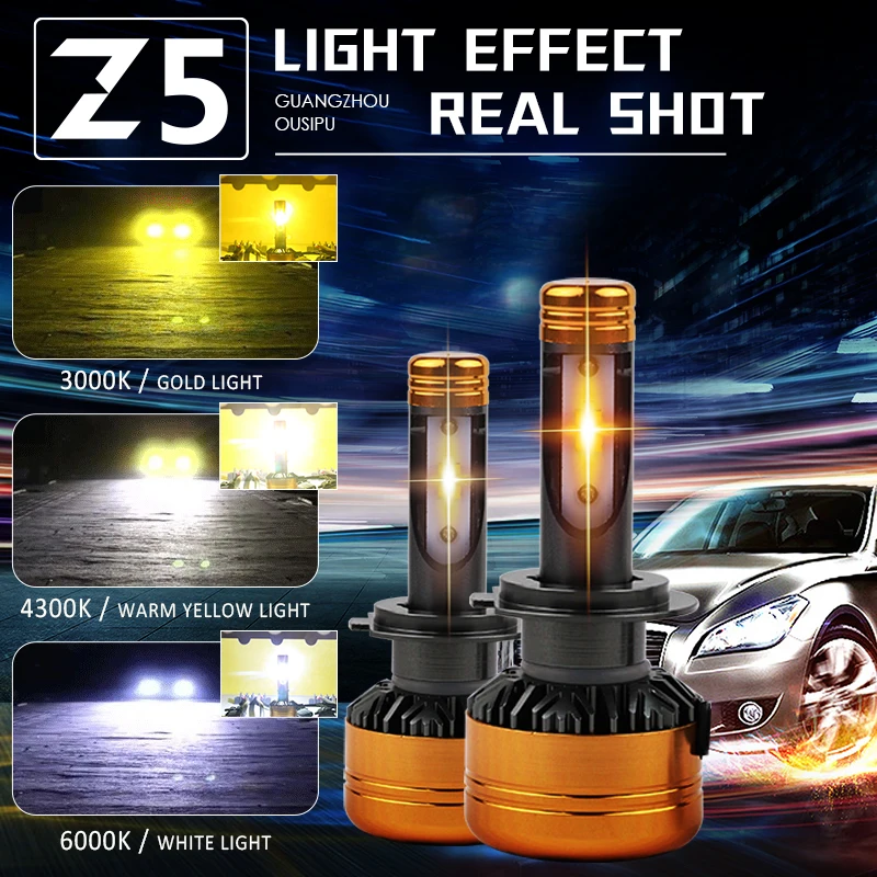 LHL-Z5 3