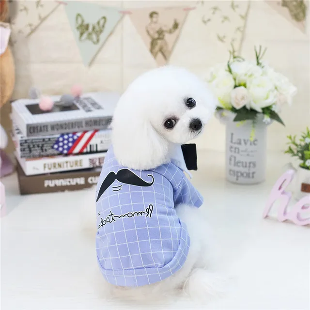 Bigeyedog Male Dog Clothes Wedding Suit Spring Summer Dog Shirt Bowtie