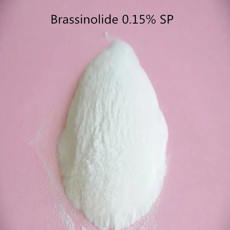 

100 gram Water soluble Brassinolide 0.15% SP Natural Brassinolide 0.15%SP with low price and high quality