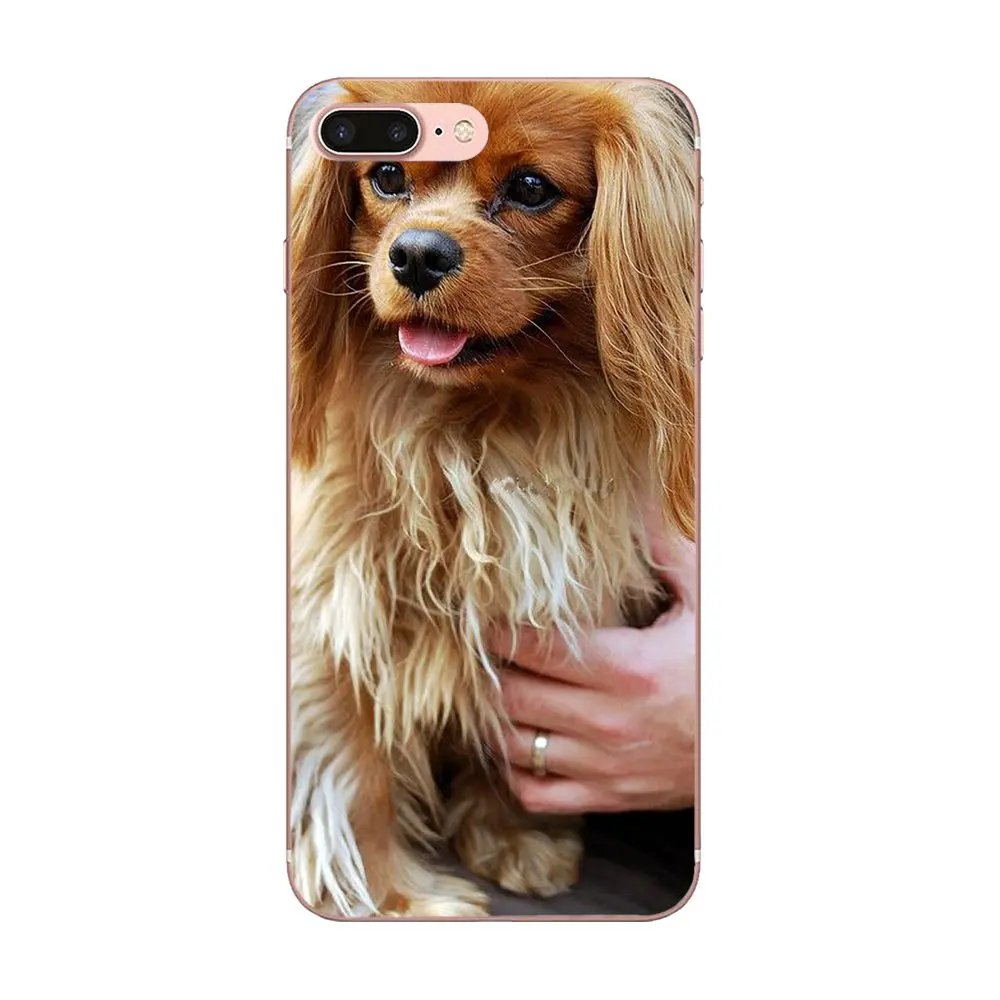 Щенки Bixedx Cavalier King Charles Spaniel для Huawei G7 Y6 II Y7 Xiaomi Redmi Note 2 3 5 Mi 4 4C 4I 5S 5X 6X