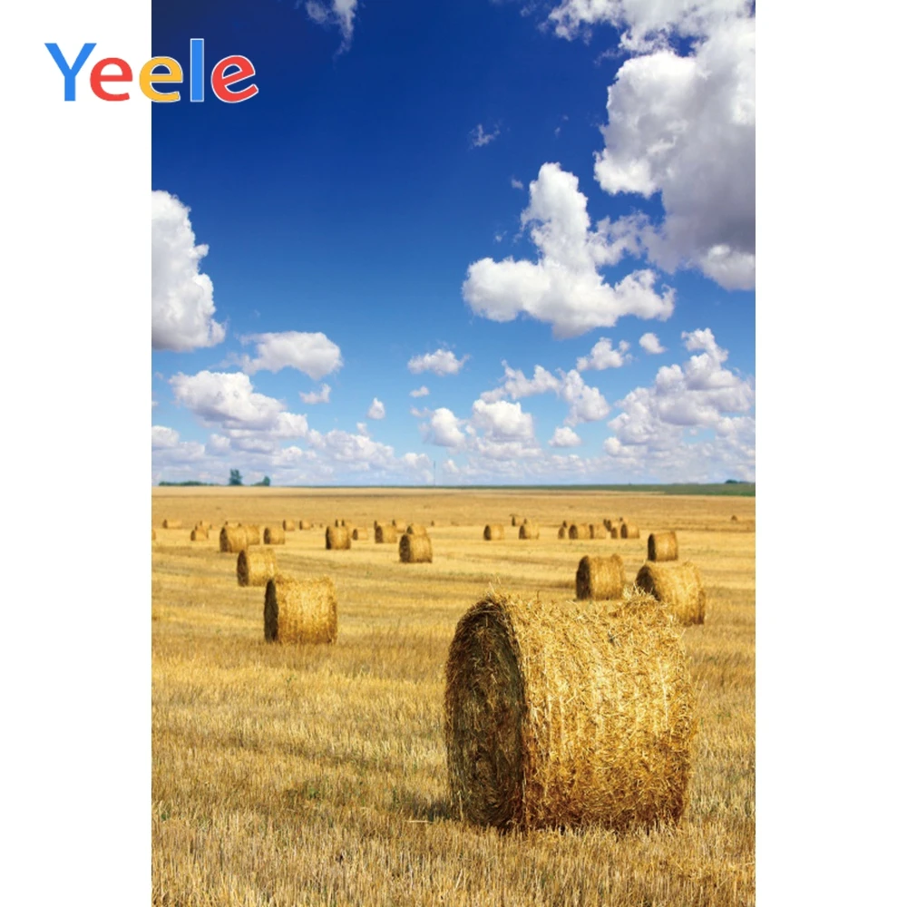 

Yeele Farm Hay Bale Blue Sky White Cloud Scene Baby Portrait Photographic Background Vinyl Photography Backdrop For Photo Studio