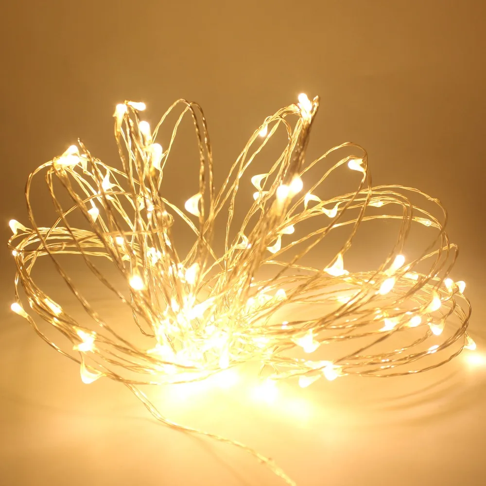 

12V LED Light String Kung 12V2A adapter 100 led 10M 10 led/m outdoor String Fairy Light Christmas Wedding Party Decoration light
