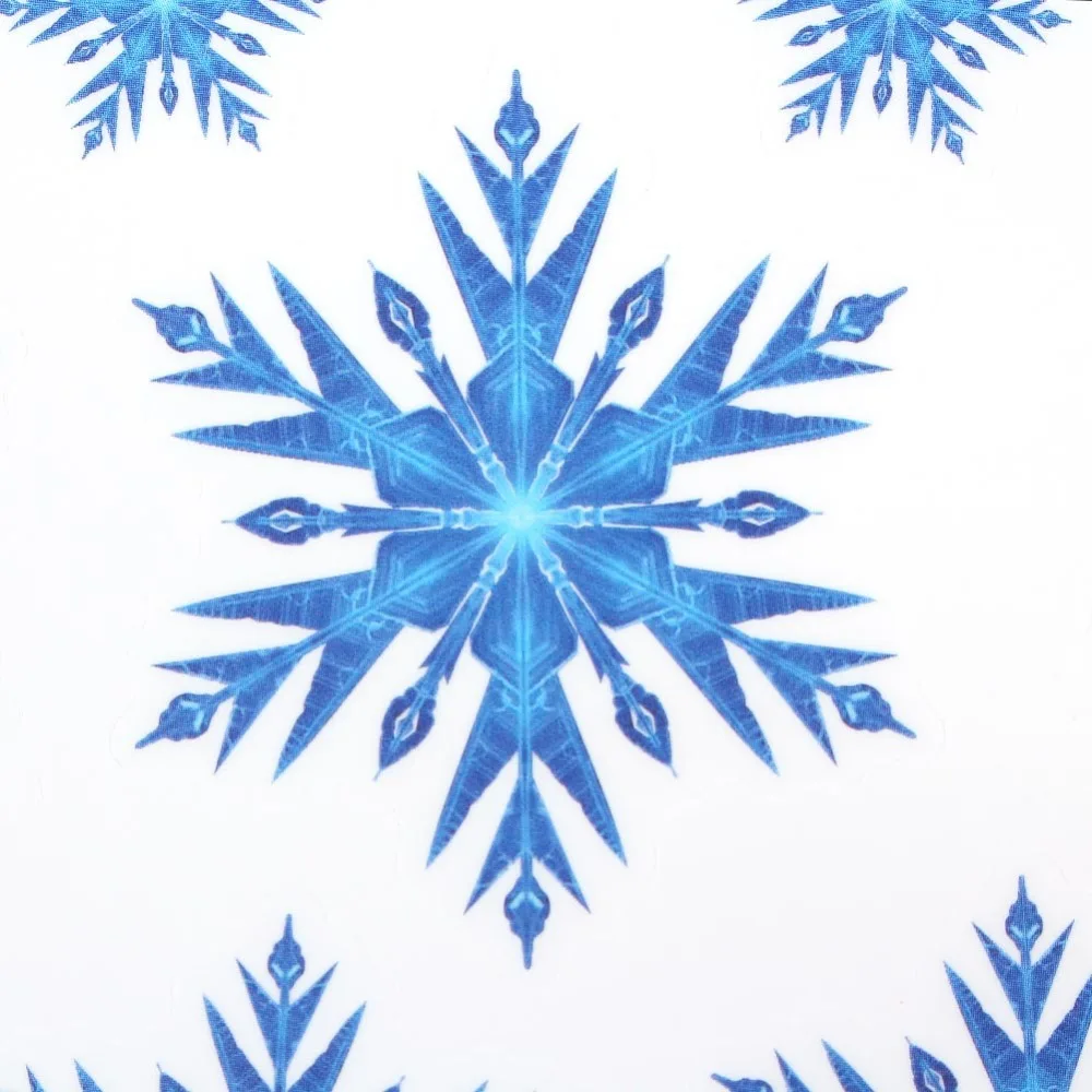 frozen snowflakes