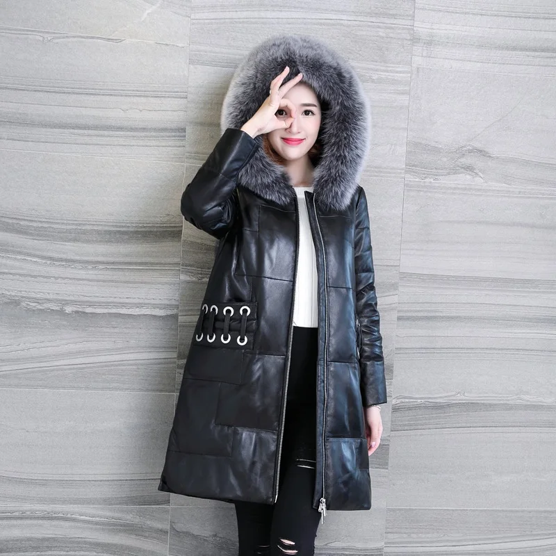 LF4255 (11)