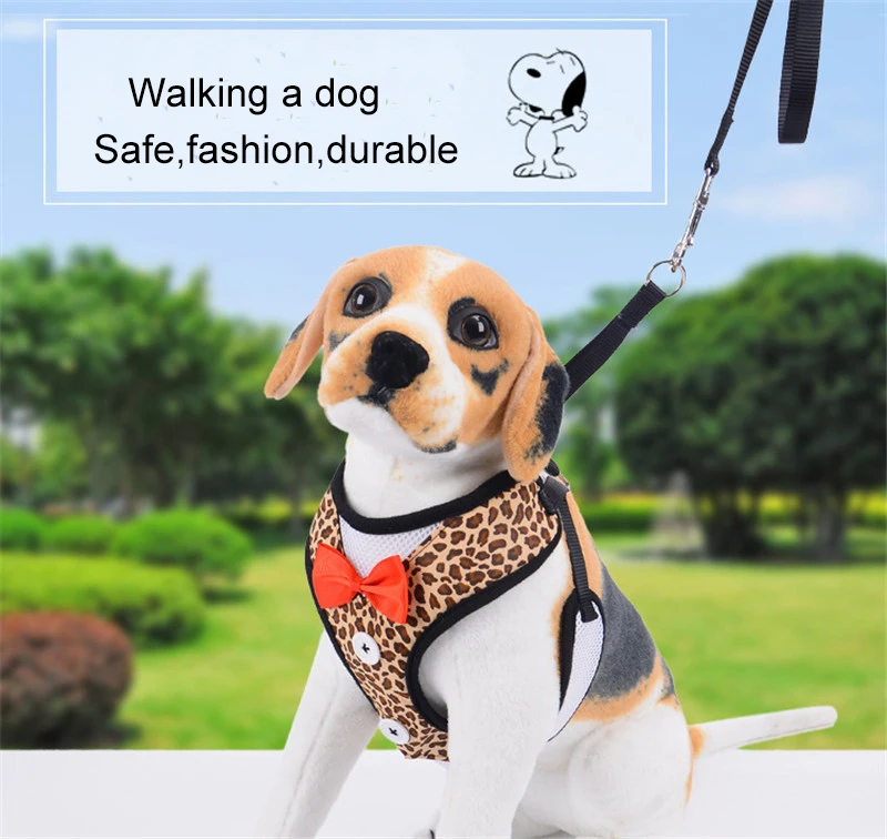 leash for dog (7)