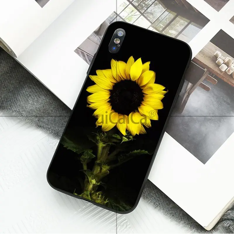 Yellow Sunflower