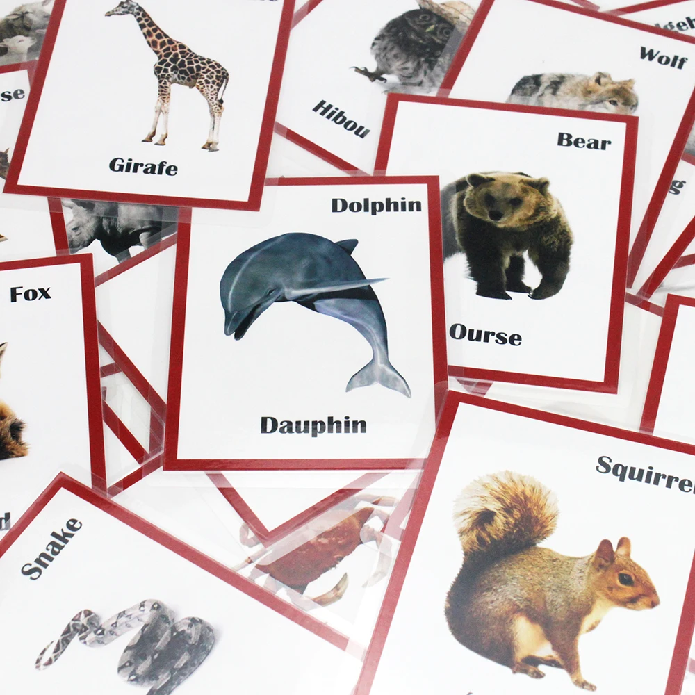 Educativos para Crianças Brinquedos para Crianças Francês Inglês Animais Aprendizagem Flashcards Cartão Jogos Juguetes Educativos 30pcs - 8 Cartão Jogos Educativos para Crianças Crianças Juguetes