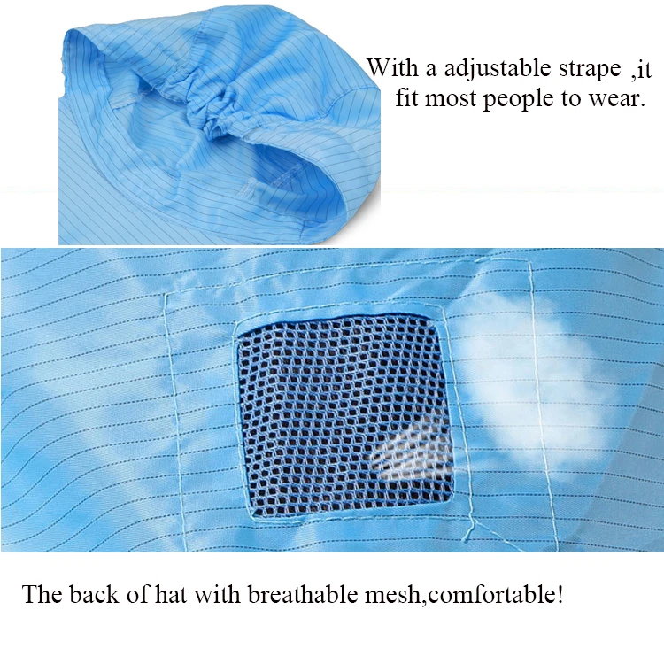 2939003879_1338119100