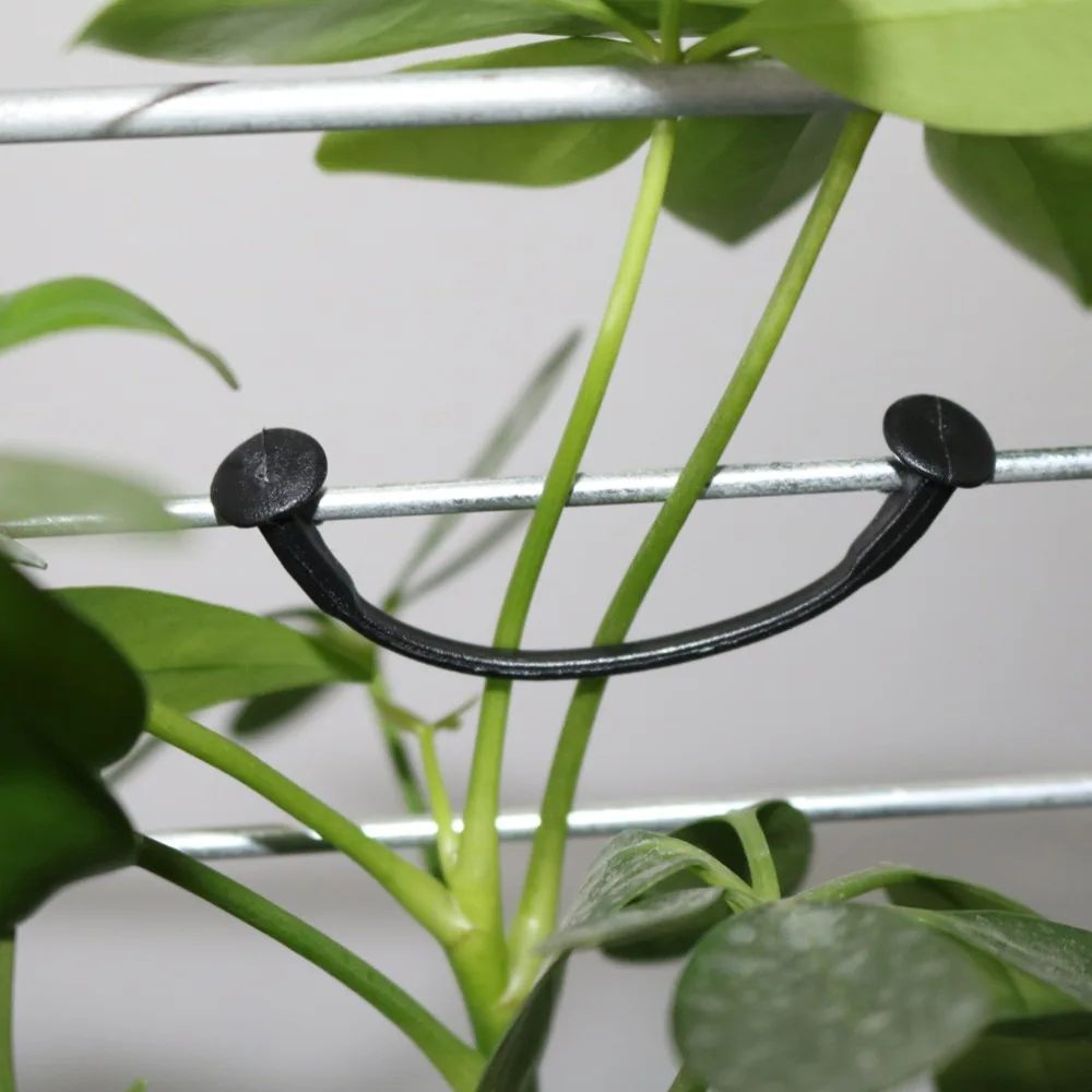 1000Pc Plant Vine Tied Buckle Kiwi Grape Vine Fastening Clip Vegetable Flower Fixed Lashing Hook Greenhouse Agriculture Supplies plant fastening clips