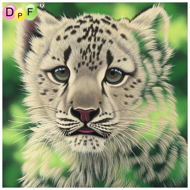  2020 2525 3030 4040 5050 6060