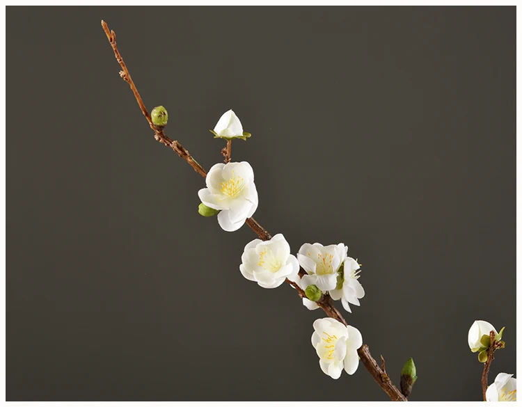 28 Wintersweet Product Detail