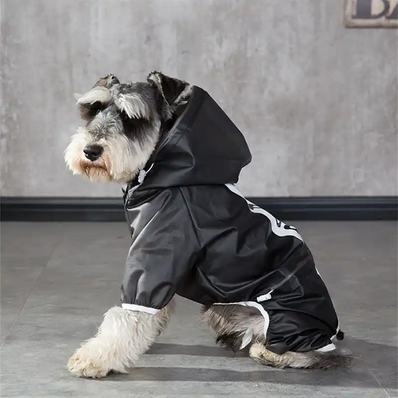Miniature schnauzer raincoat Clearance